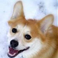 Derp