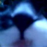 Ziaro