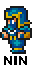 Ninja-Male